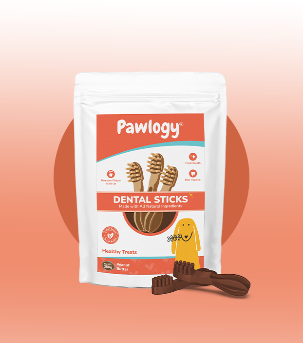 DENTAL CHEW STICKS Brown Peanut Butter
