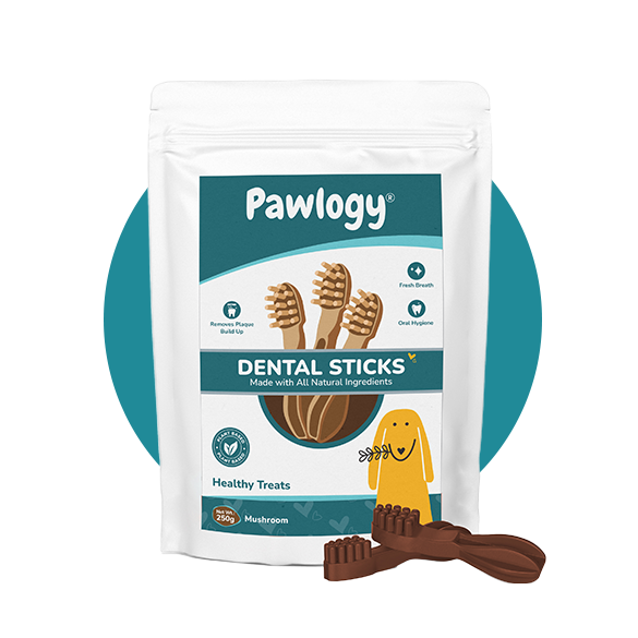 DENTAL CHEW STICKS Yellow Mushroom