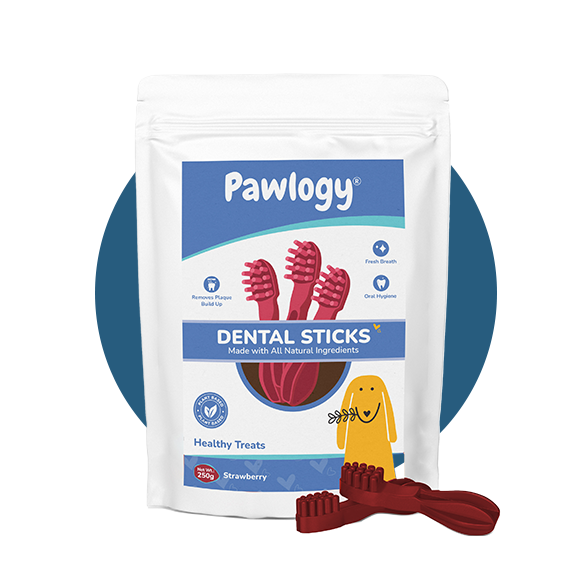 DENTAL CHEW STICKS Red Strawberry