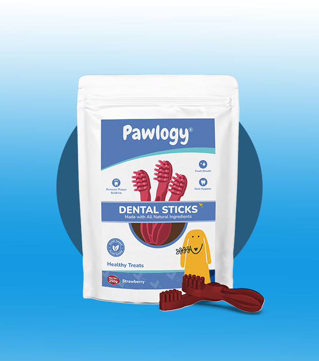 DENTAL CHEW STICKS Red Strawberry