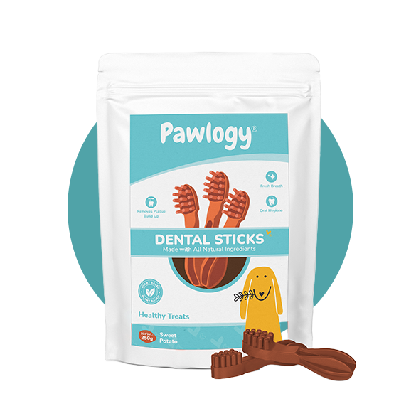 DENTAL CHEW STICKS Orange Sweet Potato