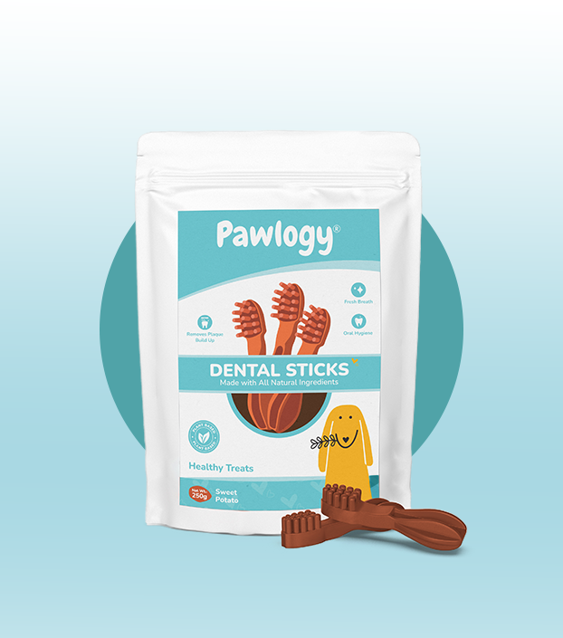 DENTAL CHEW STICKS Orange Sweet Potato