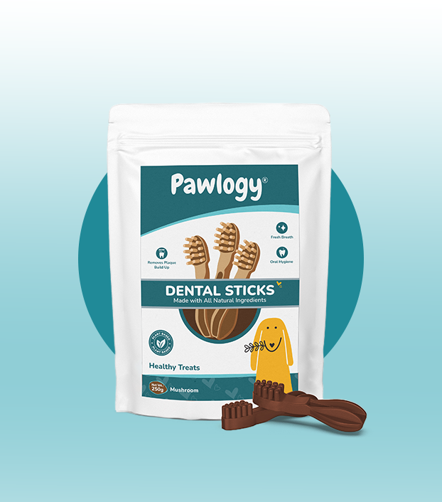 DENTAL CHEW STICKS Yellow Mushroom